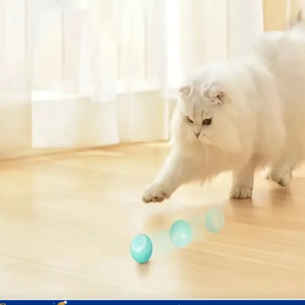 Rolling Rechargeable blinking spinning chase ball